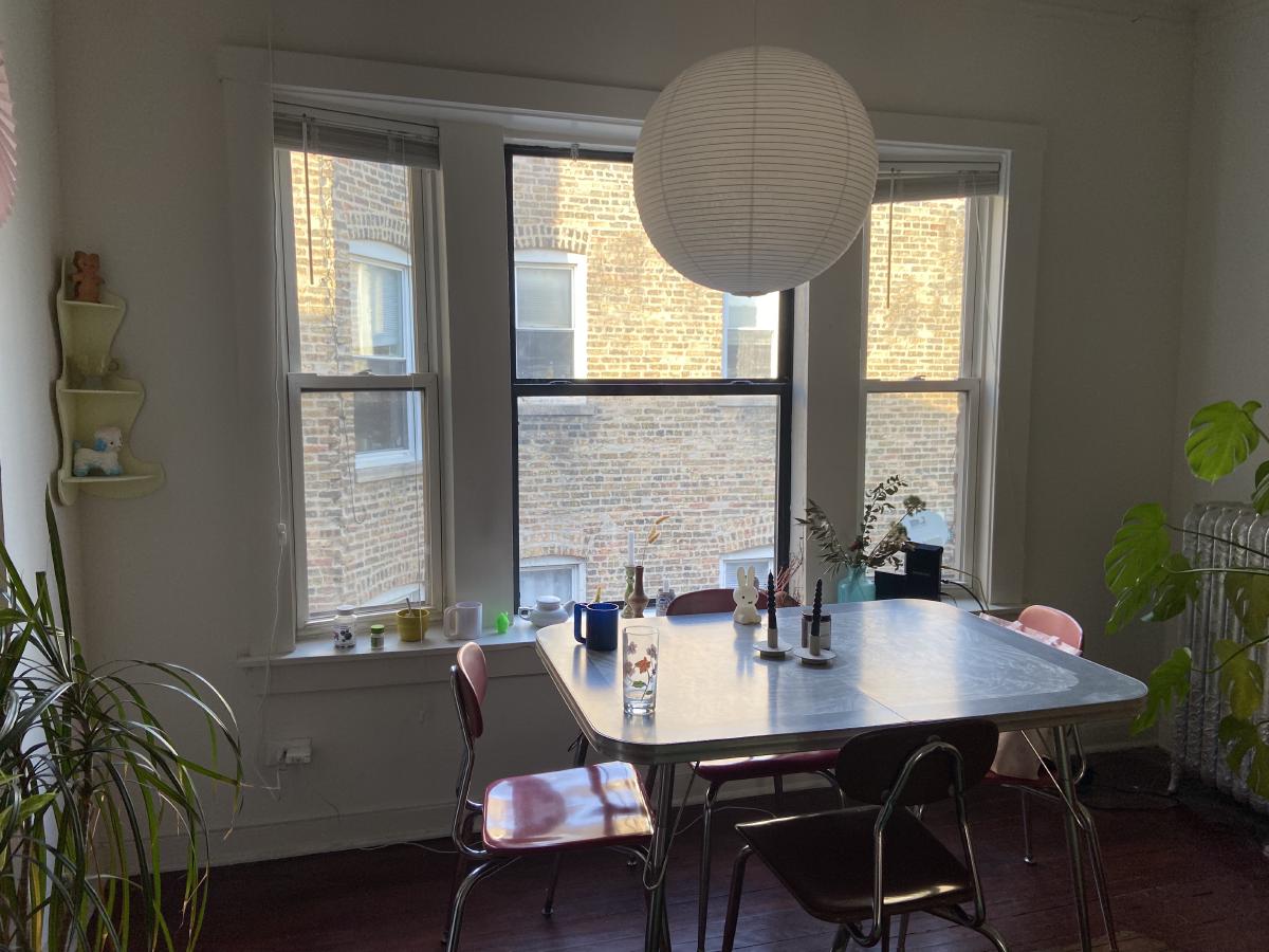 our kitchen table and plants and window