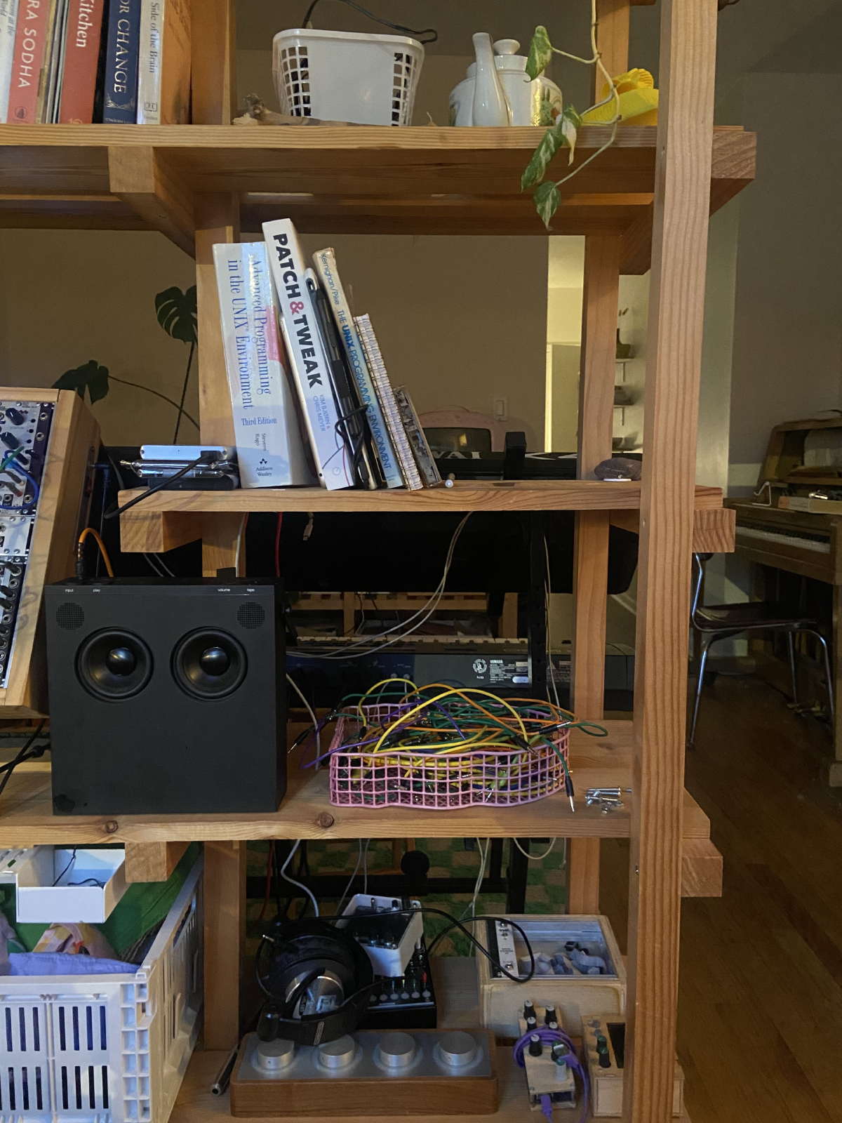 my wooden shelf with books and gear and plant