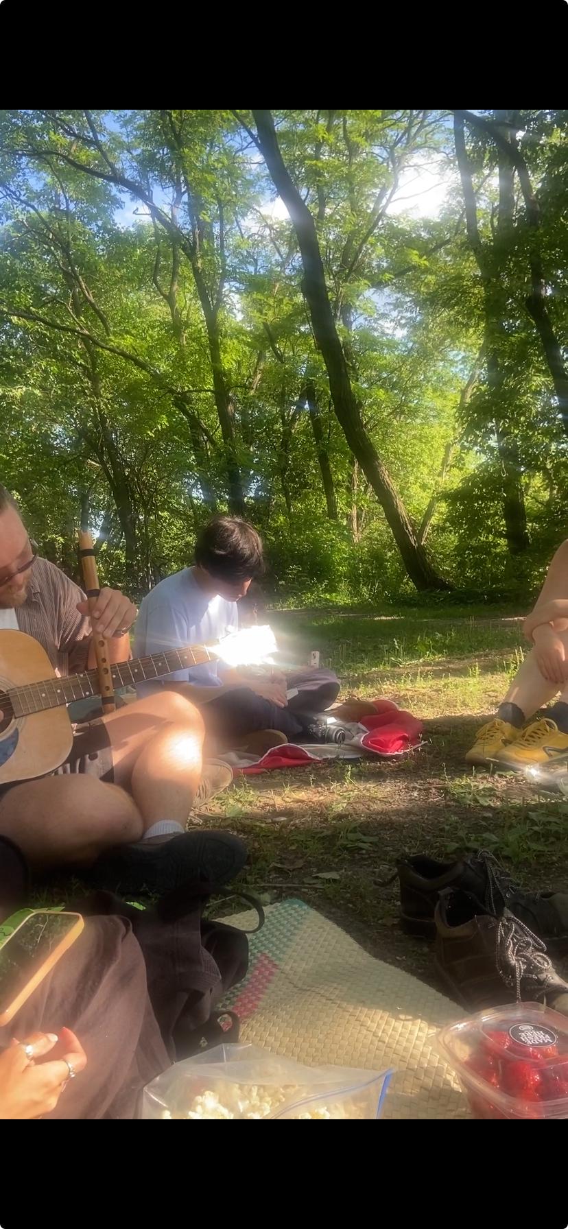 friends at a pinic playing guitar strangely drawing earing watermelon