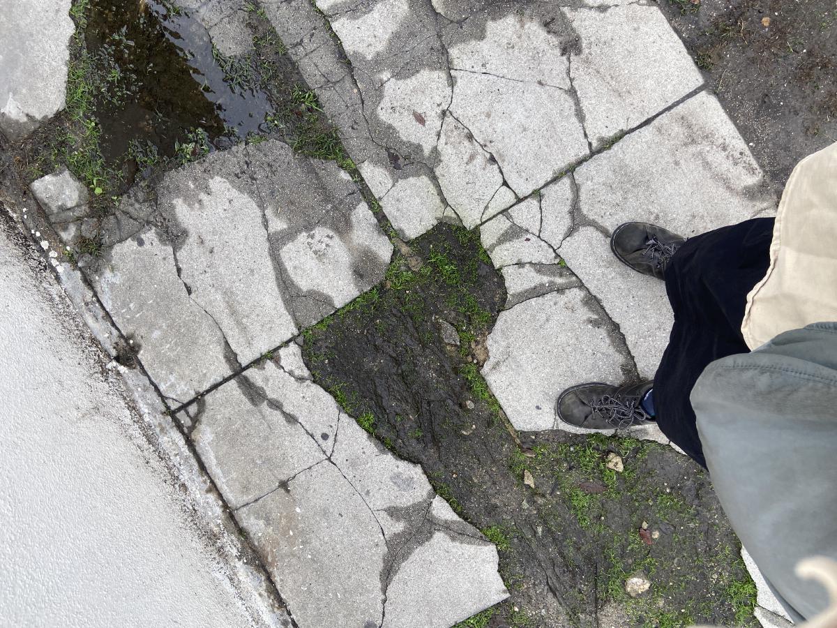 shoes on broken pavement with moss and raindrops